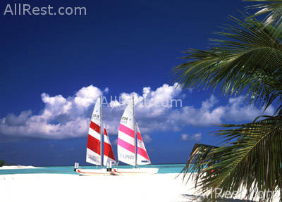 Sun Island Resort & Spa 33